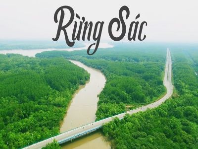 RỪNG SÁC CẦN GIỜ 1 NGÀY 